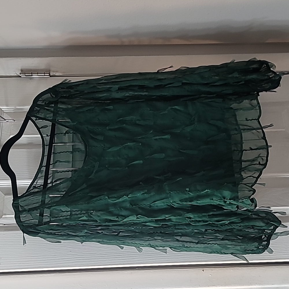 Green sheer blouse with tank